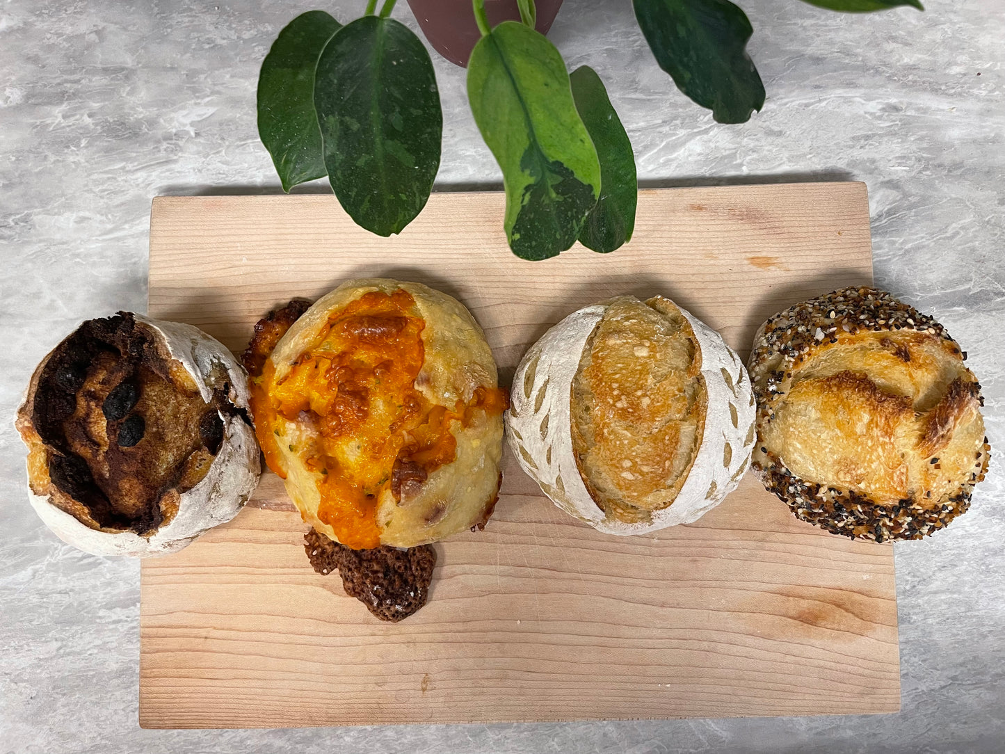 Sourdough Flight