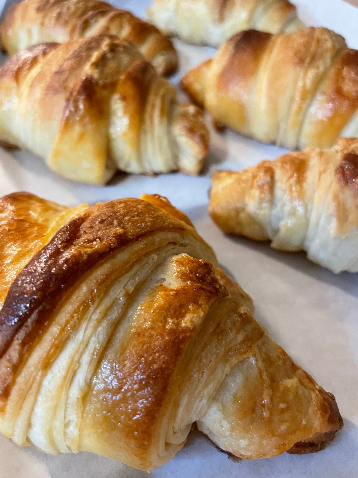 Sourdough Croissants