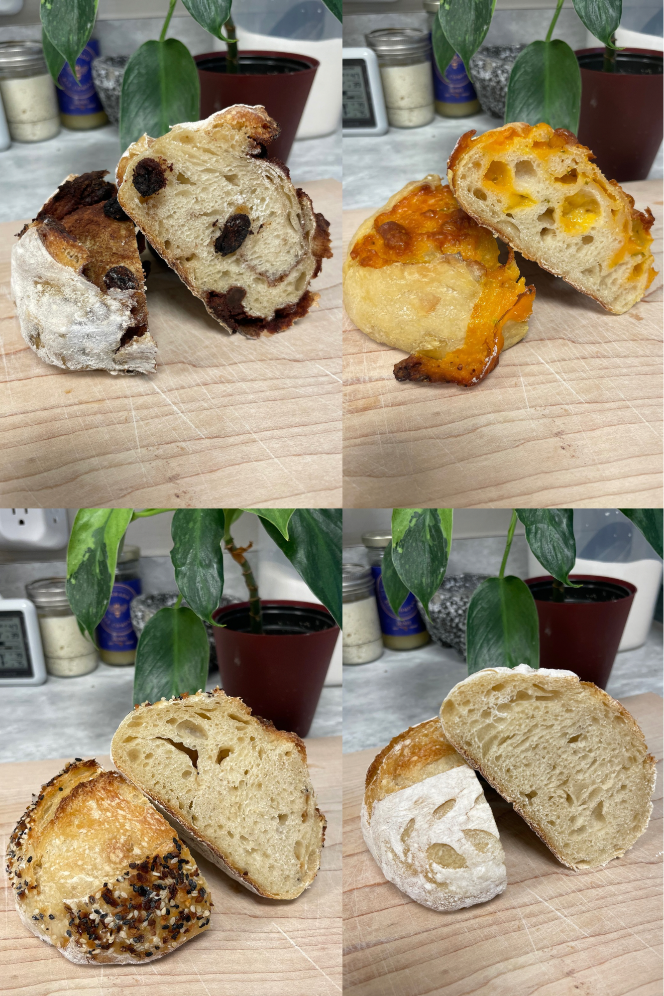 Sourdough Flight