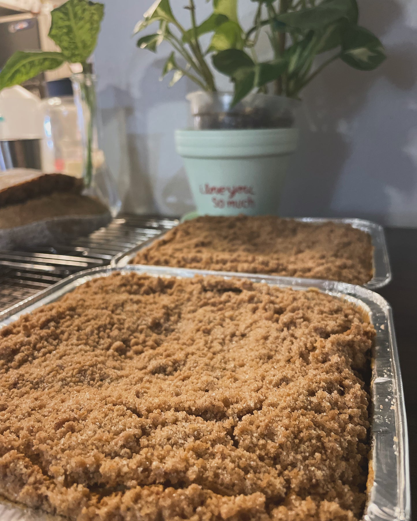 Sourdough Coffee Cake