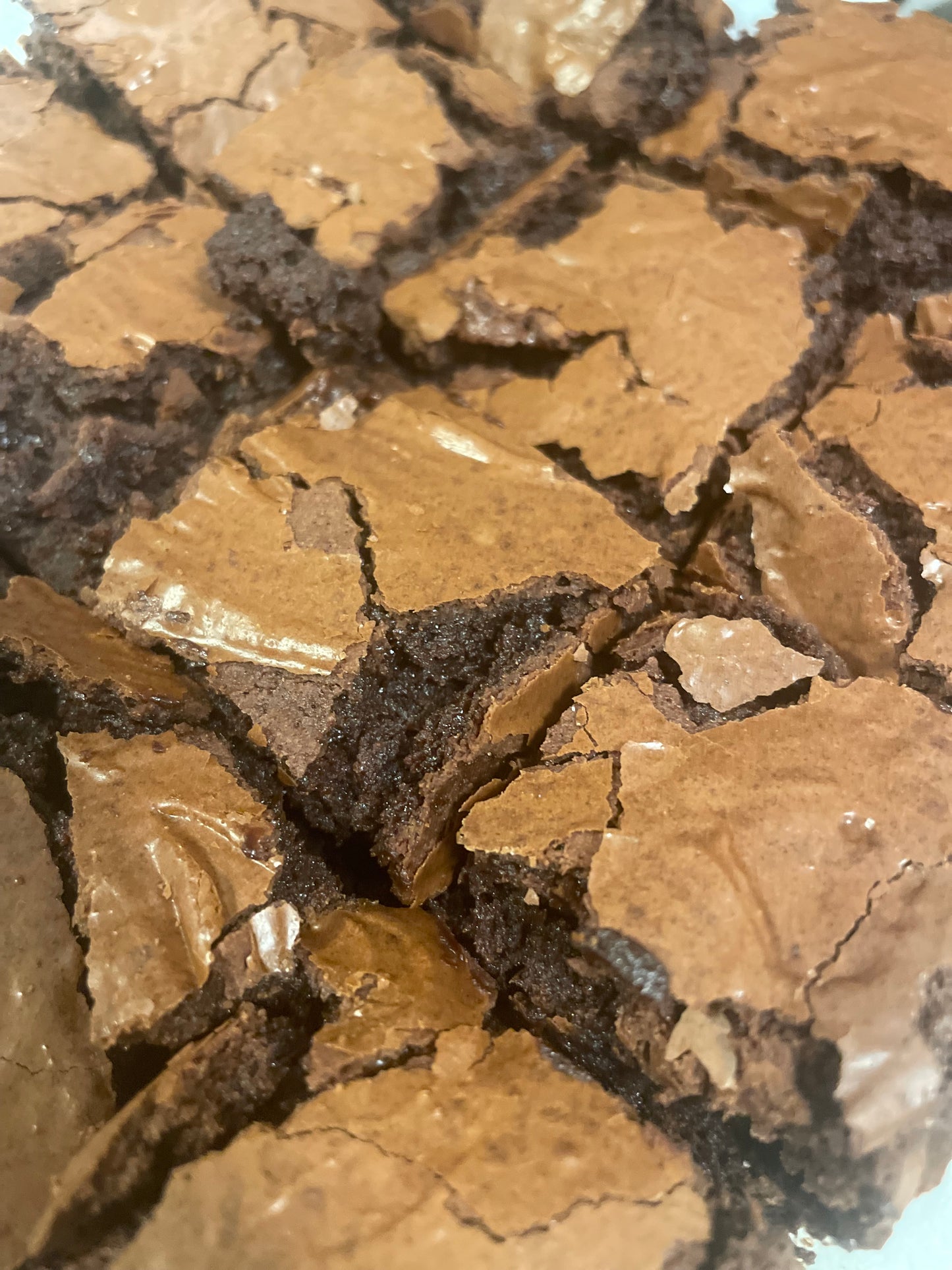 Sourdough Brownies